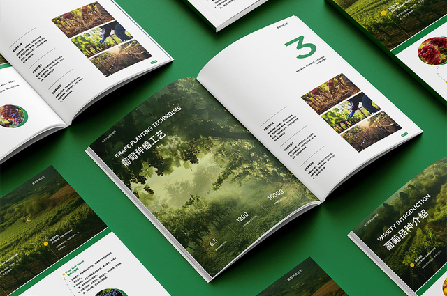 葡萄种植园画册设计