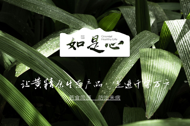 如是心滋补品牌设计