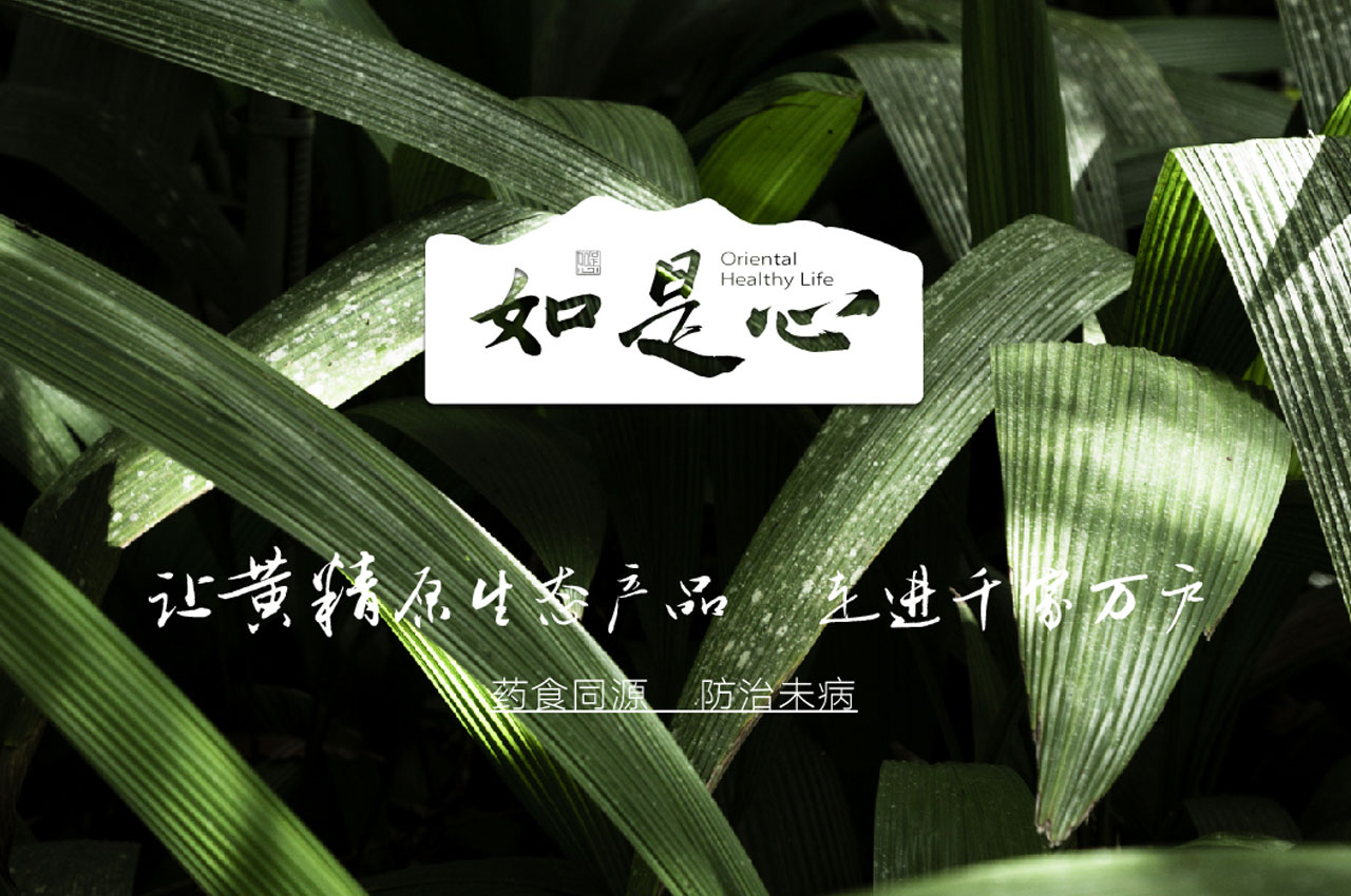 如是心滋补品牌设计