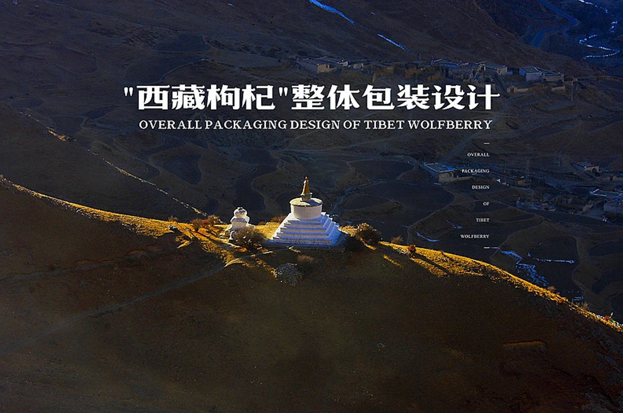 西藏枸杞品牌设计2