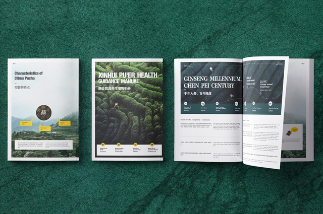 新会普洱养生手册设计