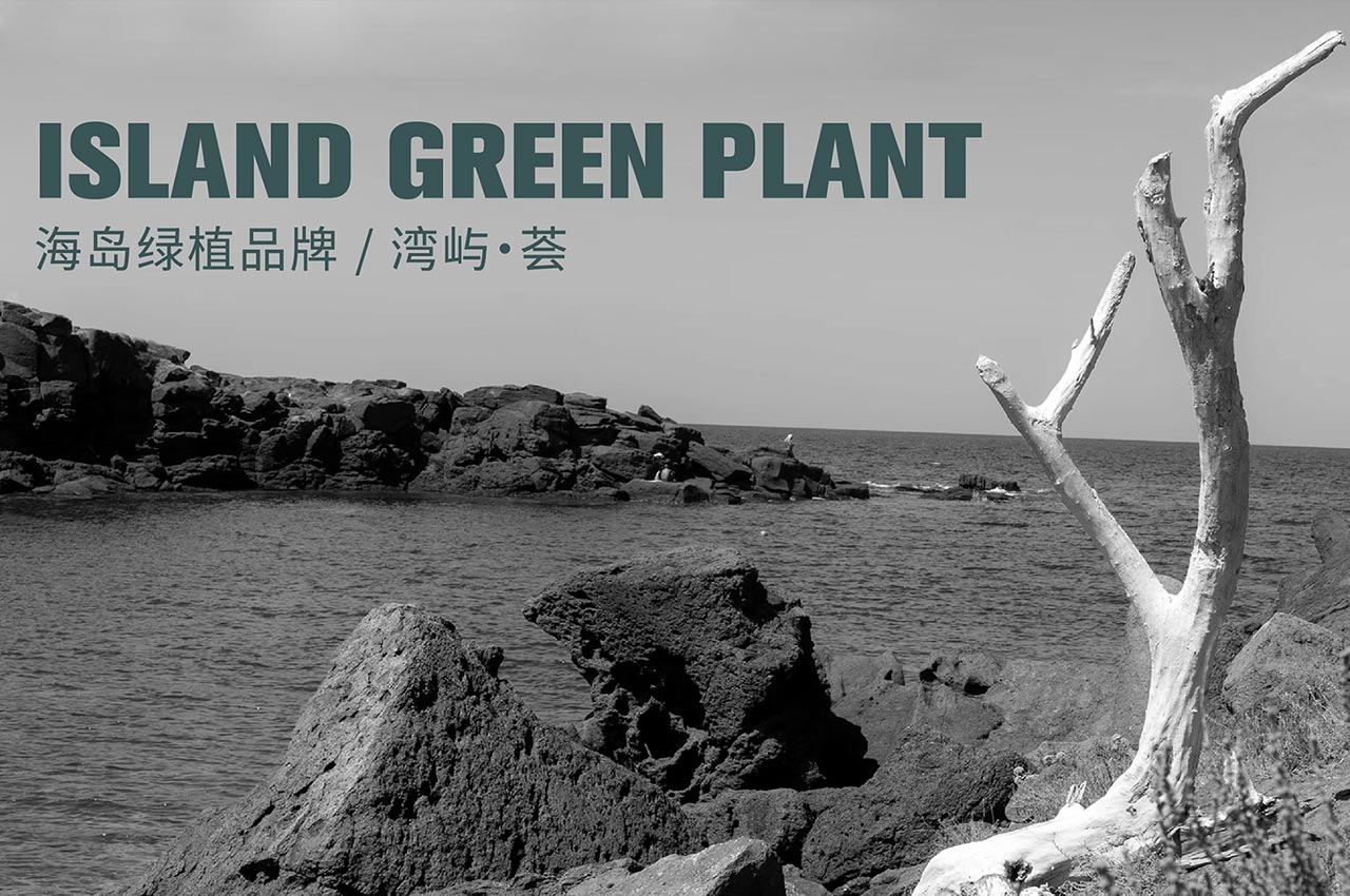 湾屿·荟海岛绿植品牌