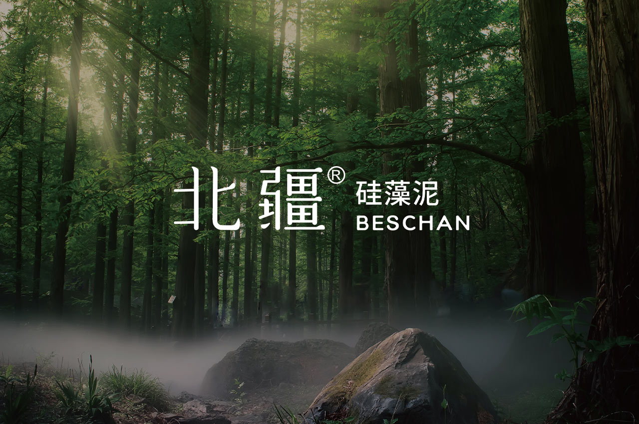 北疆硅藻泥涂料包装设计